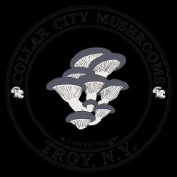 Fundraising Page Image